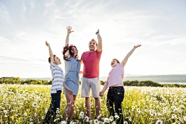 Šťastná rodina baví na daisy pole při západu slunce — Stock fotografie