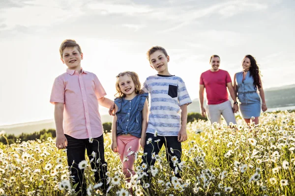 Szczęśliwa rodzina zabawy na polu daisy o zachodzie słońca — Zdjęcie stockowe