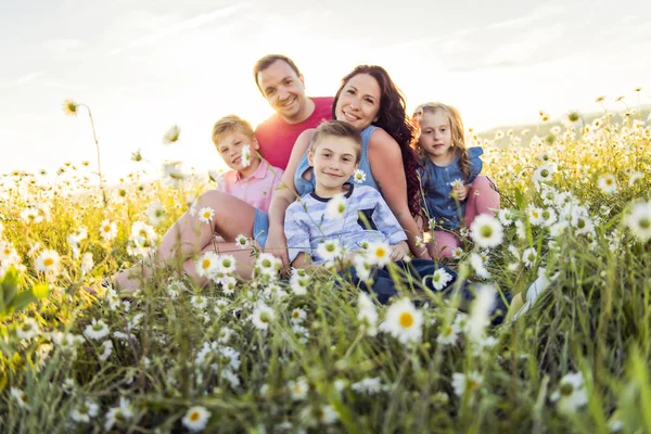 Lycklig familj att ha kul på daisy fältet vid solnedgången — Stockfoto