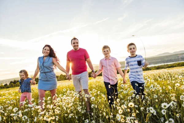 Lycklig familj att ha kul på daisy fältet vid solnedgången — Stockfoto