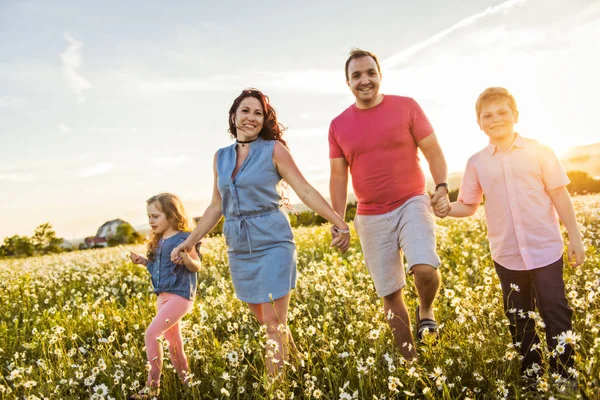 Gelukkige familie plezier op daisy veld bij zonsondergang — Stockfoto