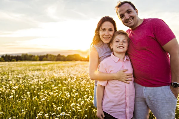 Lycklig familj att ha kul på daisy fältet vid solnedgången — Stockfoto
