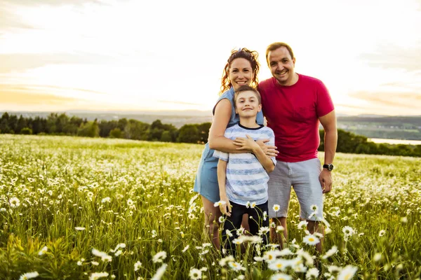 Lycklig familj att ha kul på daisy fältet vid solnedgången — Stockfoto