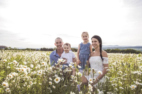 Gelukkige familie plezier op daisy veld bij zonsondergang — Stockfoto