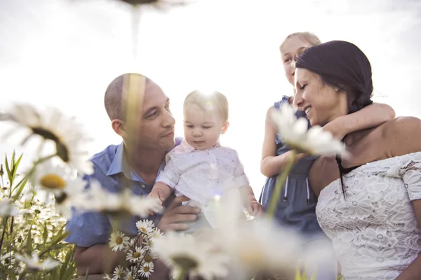 Lycklig familj att ha kul på daisy fältet vid solnedgången — Stockfoto