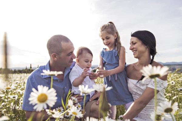 Щаслива сім'я розважається на ромашковому полі на заході сонця — стокове фото