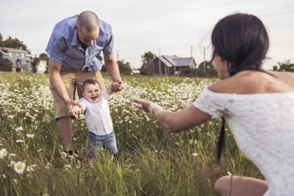 Bovenliggende wandelen met haar zoontje op daisy veld op de zonsondergang keer — Stockfoto