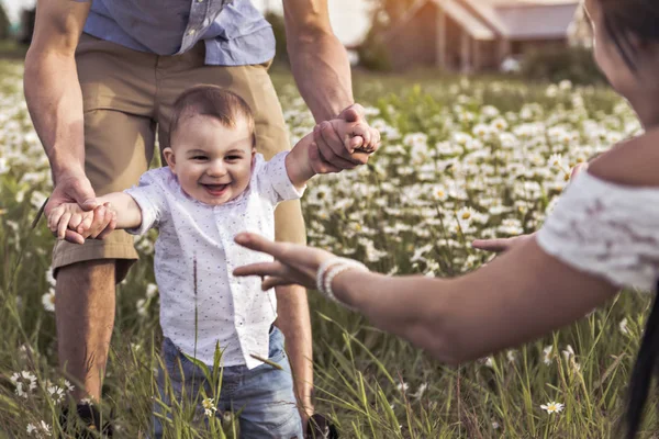 Förälder gå med hennes baby son på daisy fältet vid solnedgången tid — Stockfoto