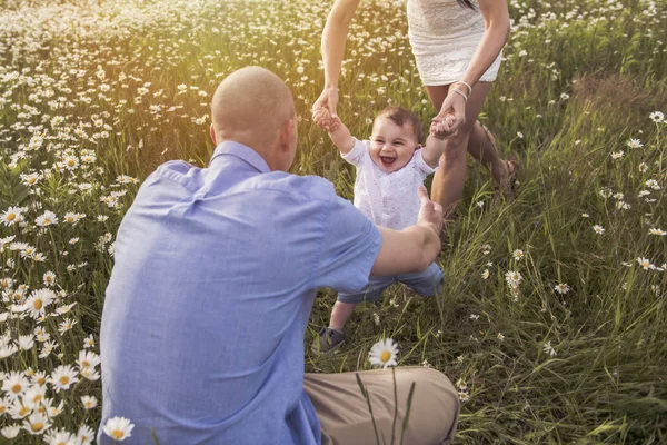 Pai andando com seu filho bebê no campo de margarida na hora do pôr do sol — Fotografia de Stock