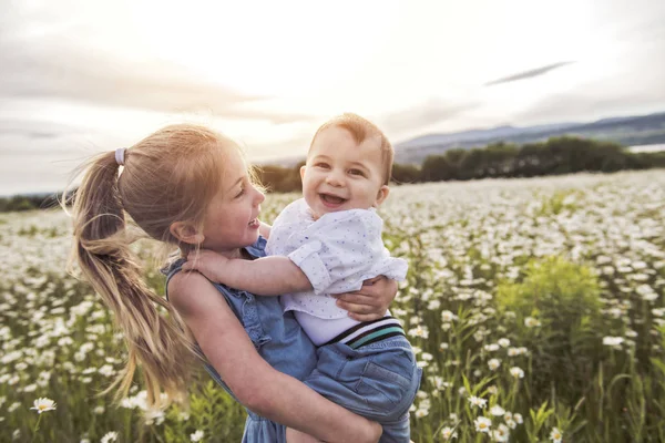 Cute child girl at camomile field daisy with baby brother — Stock Photo, Image