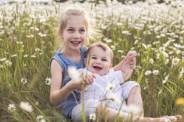 Ein Süßes Mädchen Kamillenfeld Gänseblümchen Mit Dem Kleinen Bruder — Stockfoto