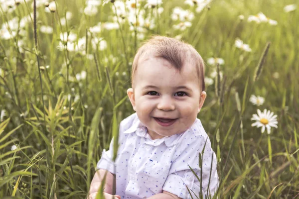 Szczęśliwe dziecko chłopiec stoi w trawy na polu stokrotka — Zdjęcie stockowe