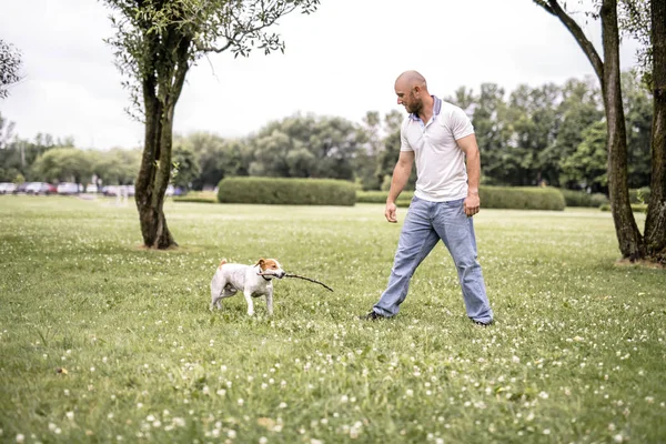 Hombre jugar con su perro Beagle en un campo a la hora de verano — Foto de Stock