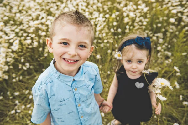 Dos niños lindos jugando en el campo de margaritas verdes — Foto de Stock