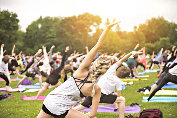 Große Gruppe von Erwachsenen nimmt an einem Yoga-Kurs im Park teil — Stockfoto
