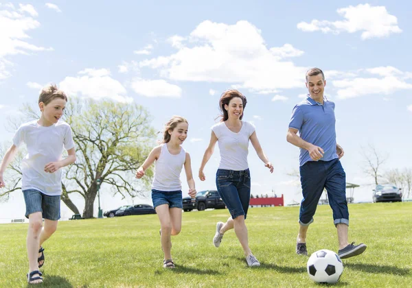 Family of four outdoors in a field having fun — Stock Photo, Image