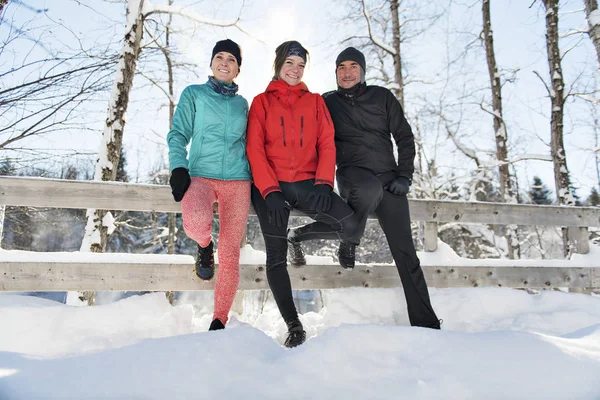 Группа друзей наслаждается пробежками по снегу зимой — стоковое фото
