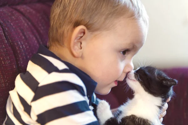 Ragazzino con gattino in casa prendendo buon tempo — Foto Stock