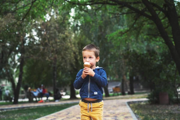Niño comiendo un helado en el parque — Foto de Stock