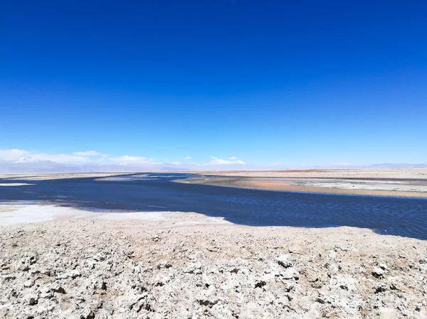 Rezerwat Przyrody Flamingo Chile San Pedro Atacama Rezerwat Narodowy Los — Zdjęcie stockowe