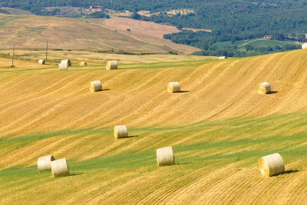 Tuscany Hills Manzara Talya Kırsal Talyan Panorama — Stok fotoğraf