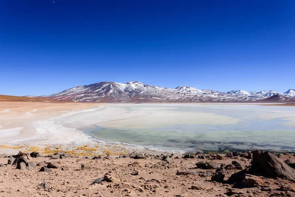 Λαγκούνα Μπλάνκα Τοπίο Βολιβία Όμορφη Bolivian Πανόραμα Λευκή Λιμνοθάλασσα Και — Φωτογραφία Αρχείου