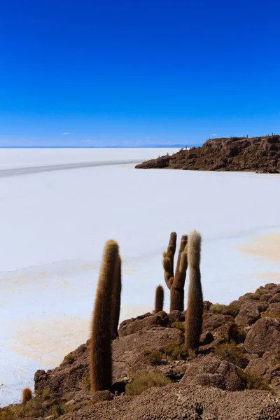 ボリビアのInchahuasi島からのSalar Uuni 世界最大の塩フラット ボリビアの風景 — ストック写真