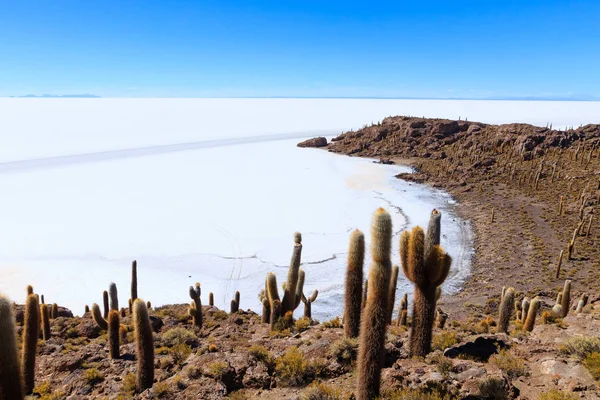 Bolivya Nın Ncahuasi Adasından Salar Uyuni Manzarası Dünyadaki Büyük Tuz — Stok fotoğraf