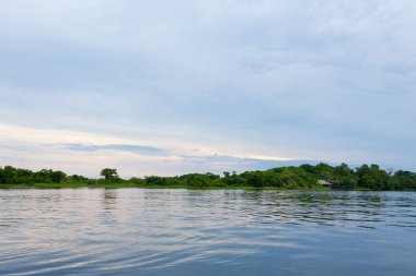 Amazon yağmur ormanlarından Panorama, Brezilya 'nın sulak arazisi. Yönlendirilebilir göl. Güney Amerika dönüm noktası. Amazonia