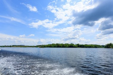 Amazon yağmur ormanlarından Panorama, Brezilya 'nın sulak arazisi. Yönlendirilebilir göl. Güney Amerika dönüm noktası. Amazonia