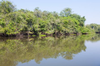 Pantanal, Brezilya 'nın bataklık bölgesinden Panorama. Yönlendirilebilir göl. Güney Amerika dönüm noktası