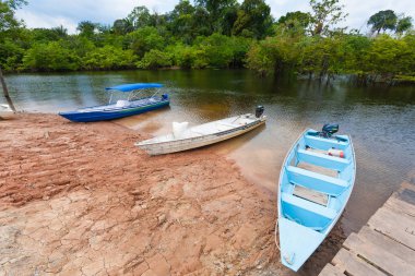 Amazonas Nehri boyunca evler. Brezilyalı sulak bölge. Gezilebilir lagün. Güney Amerika Simgesel Yapı.