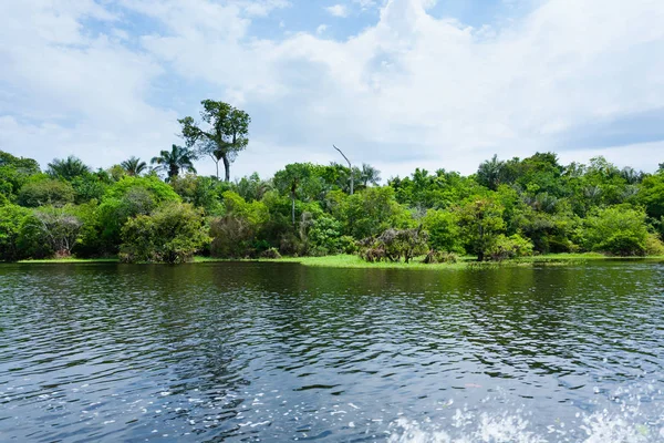 Amazon yağmur ormanlarından Panorama, Brezilya 'nın sulak arazisi. Yönlendirilebilir göl. Güney Amerika dönüm noktası. Amazonia