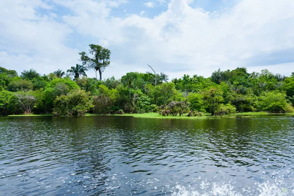 Panoráma Amazonasi Esőerdőből Brazil Vizes Vidék Navigálható Lagúna Dél Amerika — Stock Fotó