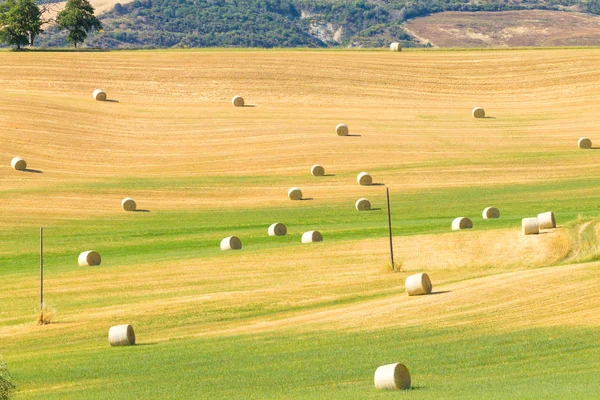 Tuscany Hills Manzara Talya Kırsal Talyan Panorama — Stok fotoğraf