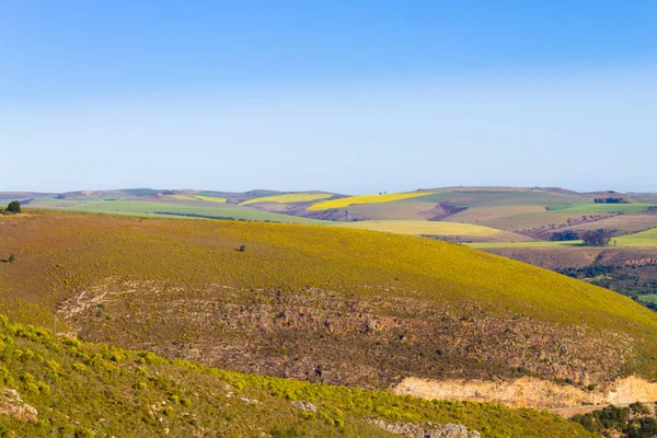 Güney Afrikalı manzara Franschhoek Karoo yolu boyunca. Afrika vahşi