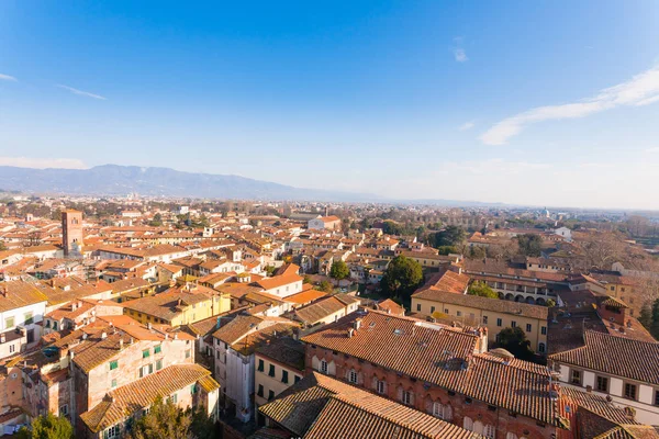 Lucca Torre Guinigi Marco Italiano Vista Aérea Lucca — Fotografia de Stock