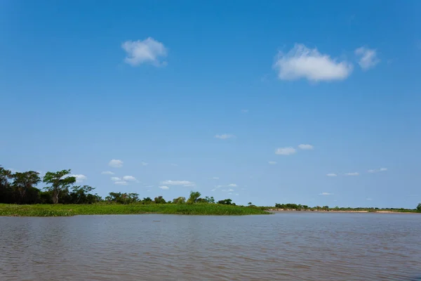 Panorama Från Pantanal Brasiliens Våtmarksområde Navigerbar Lagun Sydamerikas Landmärke — Stockfoto