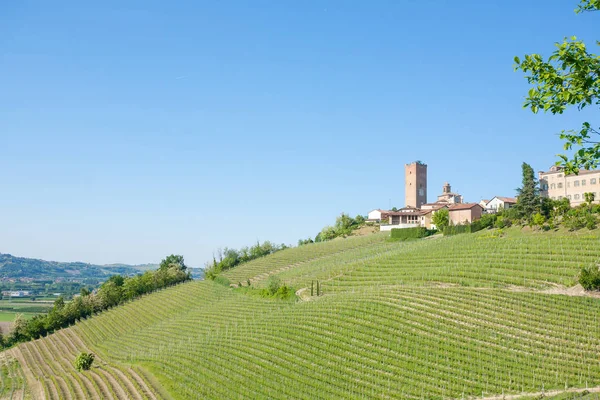Barbaresco Oda. Langhe bölgeden, İtalya tarım üzüm bağları. UNESCO Dünya Miras Listesi
