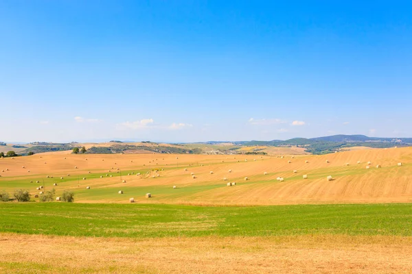 Tuscany hills manzara, İtalya. Kırsal İtalyan panorama.