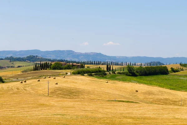 Tuscany hills manzara, İtalya. Kırsal İtalyan panorama.