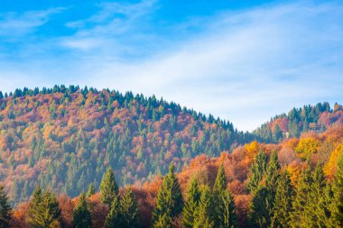 Sonbahar dağ manzarası. Grappa dağ, İtalyan Alpleri