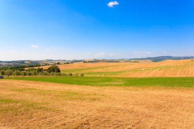 Tuscany hills manzara, İtalya. Kırsal İtalyan panorama.
