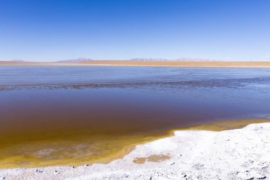 Bolivya lagün manzarası, Bolivya. Kollpa Kkota göl manzarası. Collpa Laguna