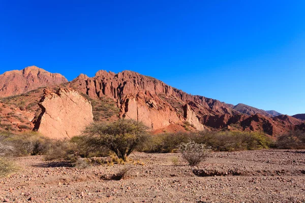 Bolivijský Kaňon Tupize Bolívii Quebrada Palmira Puerta Del Diablo — Stock fotografie