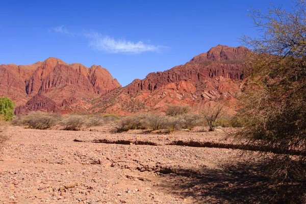 Boliviaanse Canyon Bij Tupiza Bolivia Quebrada Palmira Canyon Del Inca — Stockfoto