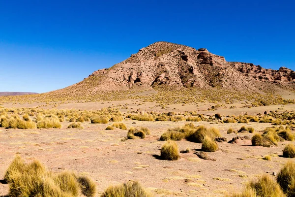 Боливийский Горный Ландшафт Боливия Вид Андское Плато — стоковое фото