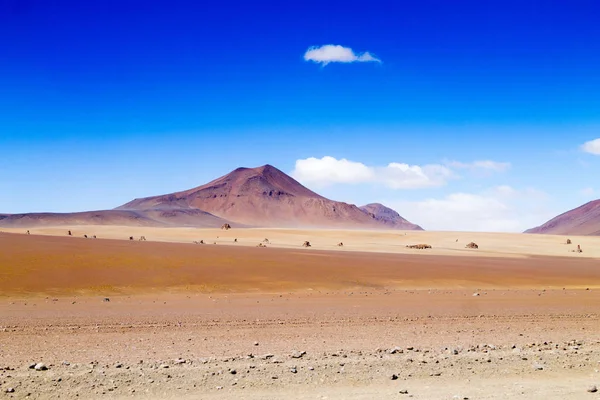 Boliviaanse Landschap Salvador Dali Woestijn Uitzicht Het Mooie Bolivia — Stockfoto