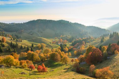 Sonbahar dağ manzarası. Grappa dağ, İtalyan Alpleri