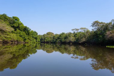 Pantanal, Brezilya 'nın bataklık bölgesinden Panorama. Yönlendirilebilir göl. Güney Amerika dönüm noktası